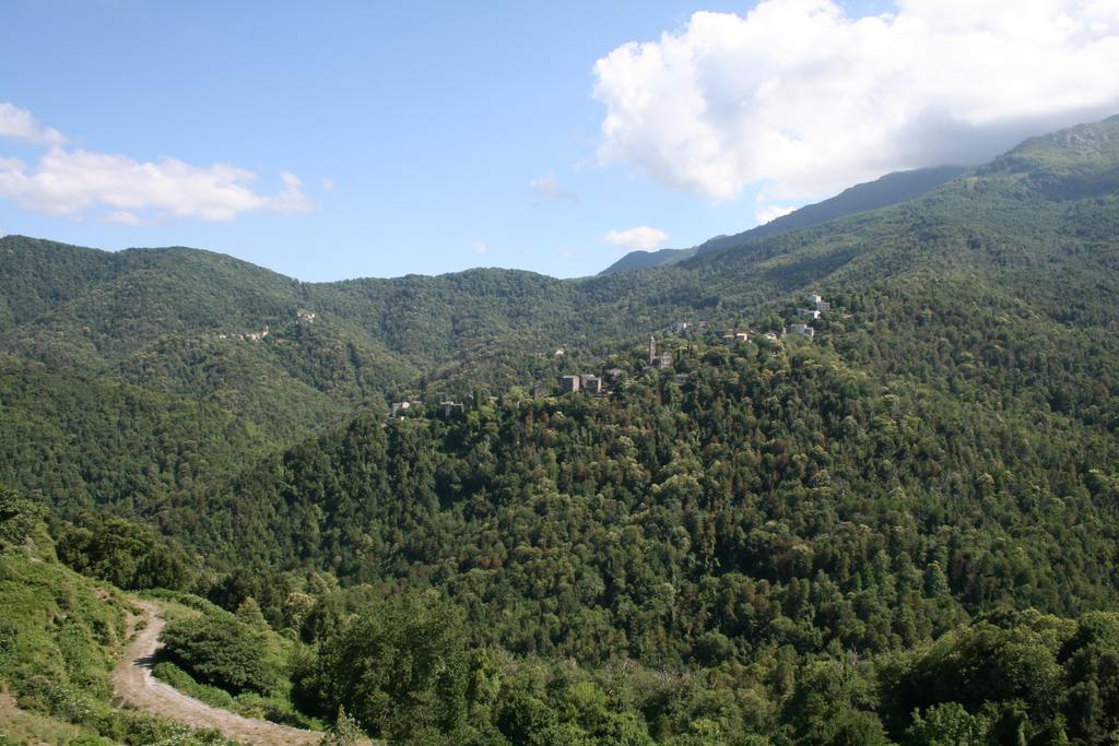 Le Refuge Orezza Piedicroce  Номер фото